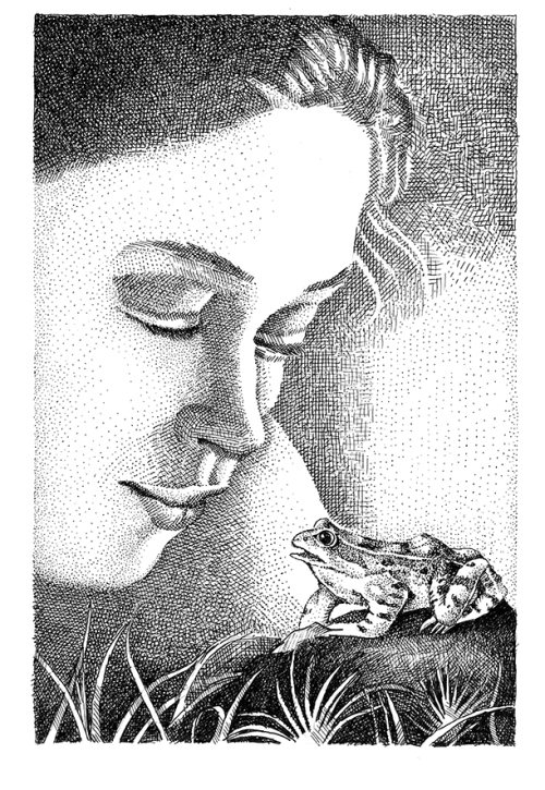 Una de les il·lustracions de Ximo Gascón. Aquesta acompanya el conte titulat «Marieta i la granoteta». Què us sembla? No és preciosa?